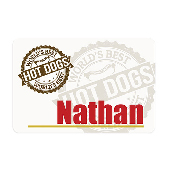 2"x3" Name Badge FR Plastic (metal pin excluded) - Unisub