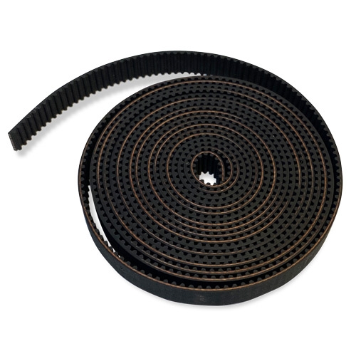 Belt - 3.3 meters | Colman and Company