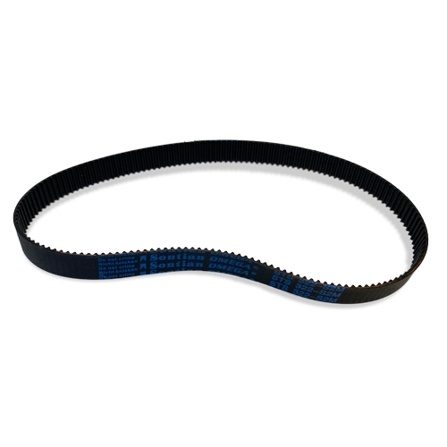 Ring Timing Belt 308 (322) (step 1902 code disc) Colman and Company